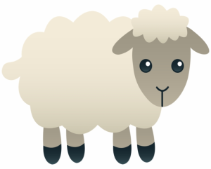 a friendly sheep